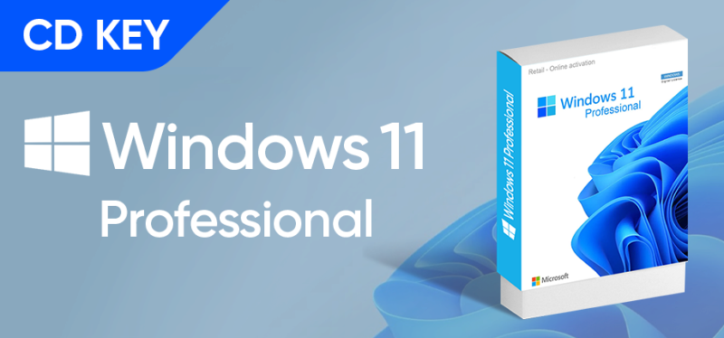 Window 11 Prp CD key bản quyền chính hãng