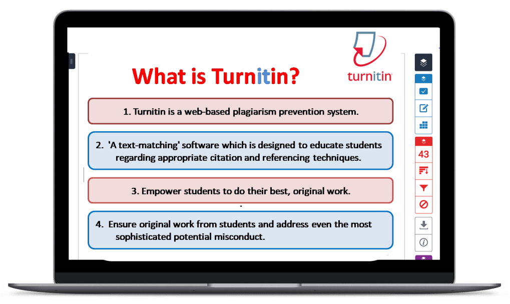 Báo cáo đạo văn chi tiết trên Turnitin