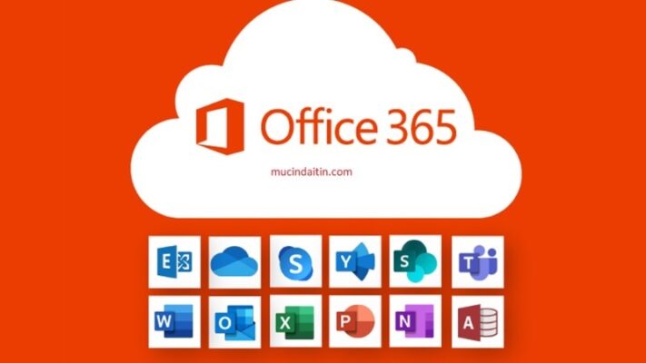 Office 365