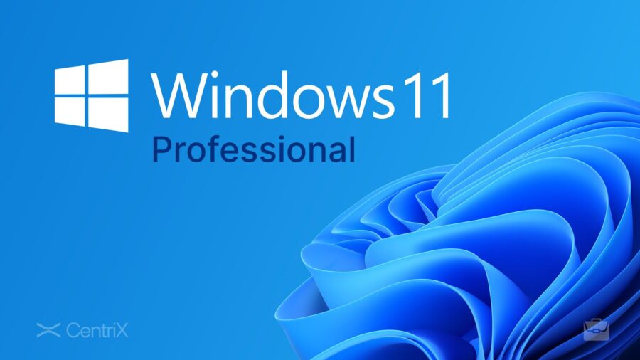 Windows 11 Professional CD Key