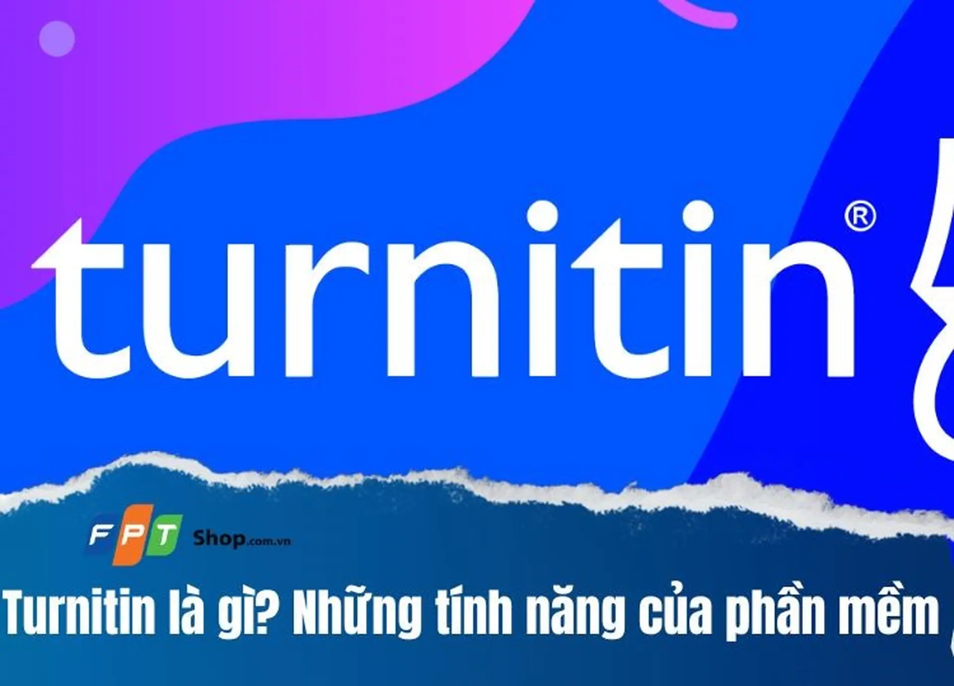 Cách Turnitin hoạt động