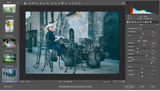 10 preset chỉnh màu ảnh đẹp nhất cho camera raw | Aphoto