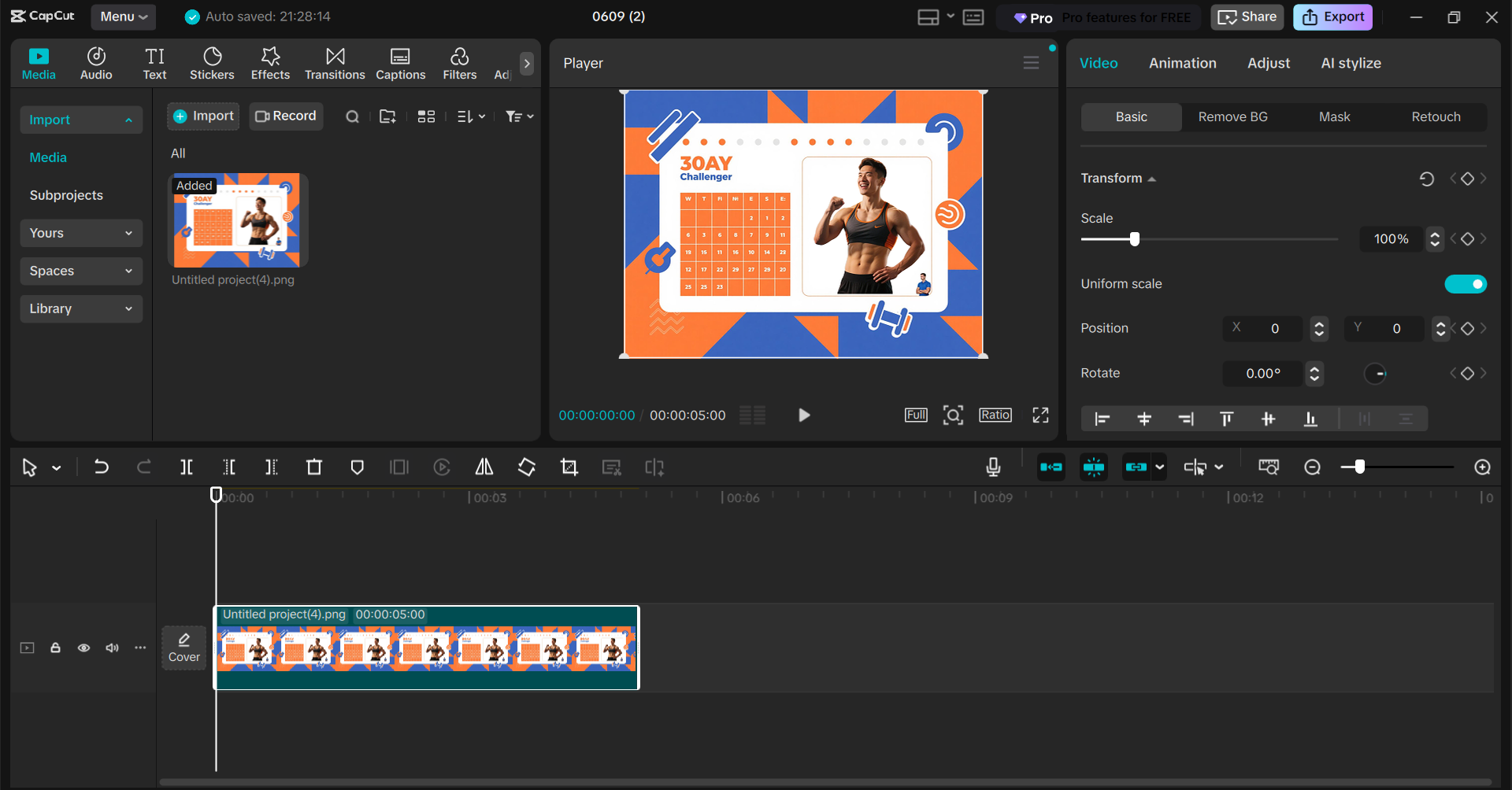 Dreamina CapCut workflow