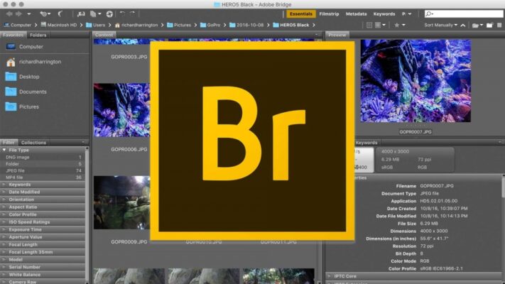 Adobe Bridge là gì