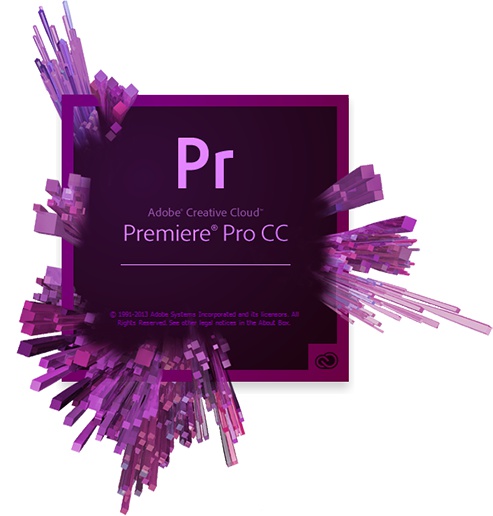Adobe Premiere Pro CC / Producción y Edición de Vídeo | 2403 - Licencia  Acrobat Pro Suscripcion Anual. Software de producción y edición de vídeo no  lineal que te permite editar, importar