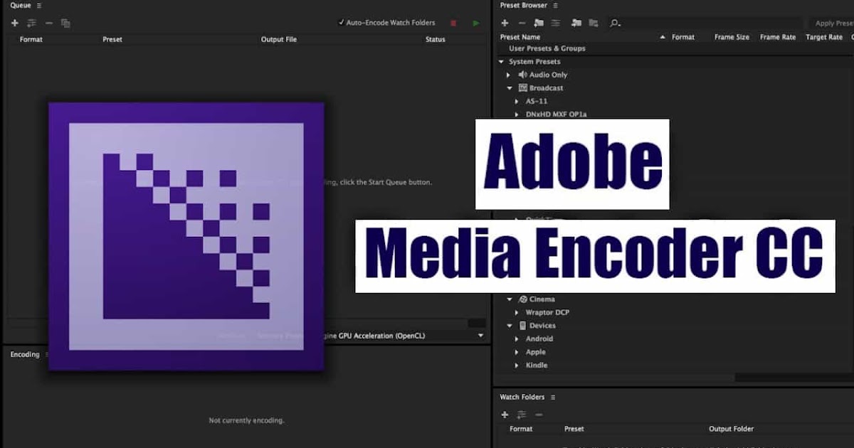 Tải Adobe Media Encoder Full Crack - Link GG Drive