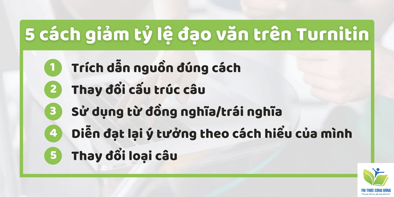 cách giảm điểm Turnitin