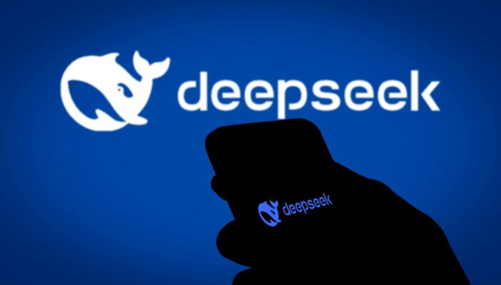 DeepSeek V1.5