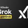 SuperGrok Heavy 300$ (Grok 4 Heavy)
