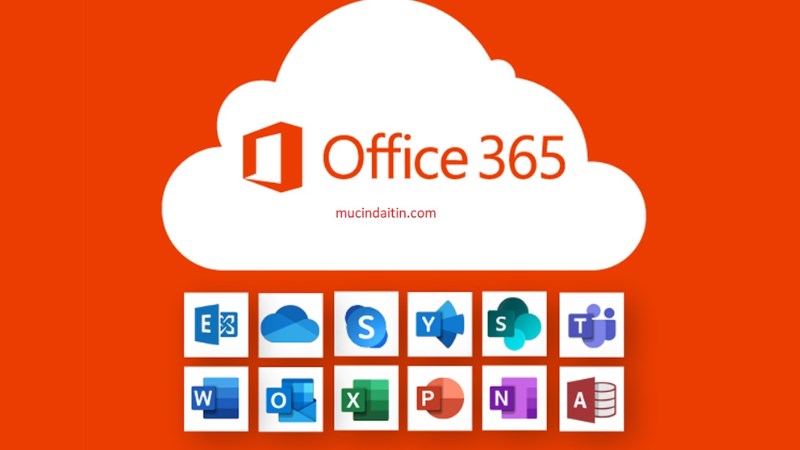 Hướng dẫn kích hoạt, activate Office 365 bản quyền trên mọi thiết bị -  Thegioididong.com