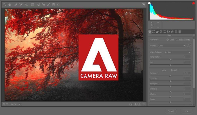 Adobe Camera Raw