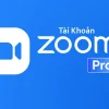 Dùng thử Zoom pro