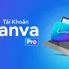 Dùng thử Canva Pro