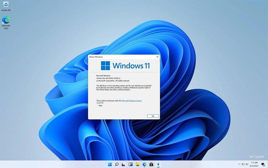 Giao diện Windows Professional